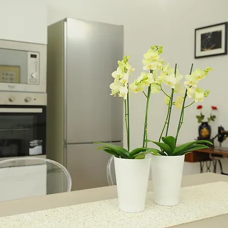 Apartament Loft In Master Palace *